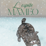 L'ospite Mameo